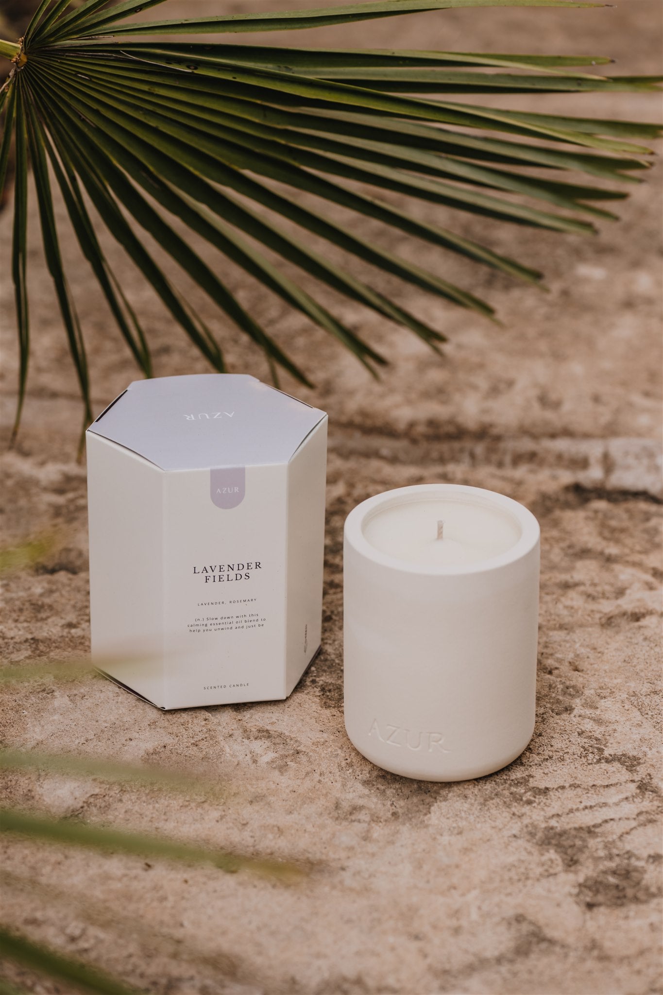 LAVENDER FIELDS | Scented candle | Ceramic jar 240 mL (Set of 3)