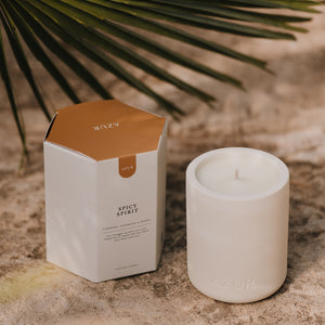 SPICY SPIRIT | Scented candle | Ceramic jar 240 mL (Set of 3)