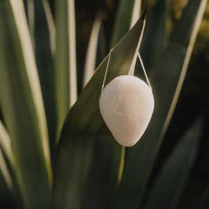 Konjac facial sponge