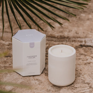 LAVENDER FIELDS | Scented candle | Ceramic jar 240 mL (Set of 3)
